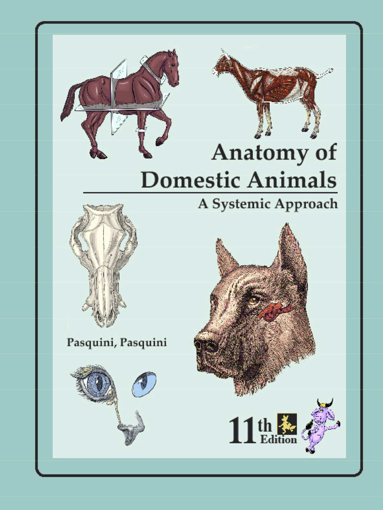 anatomyofdomesticanimals