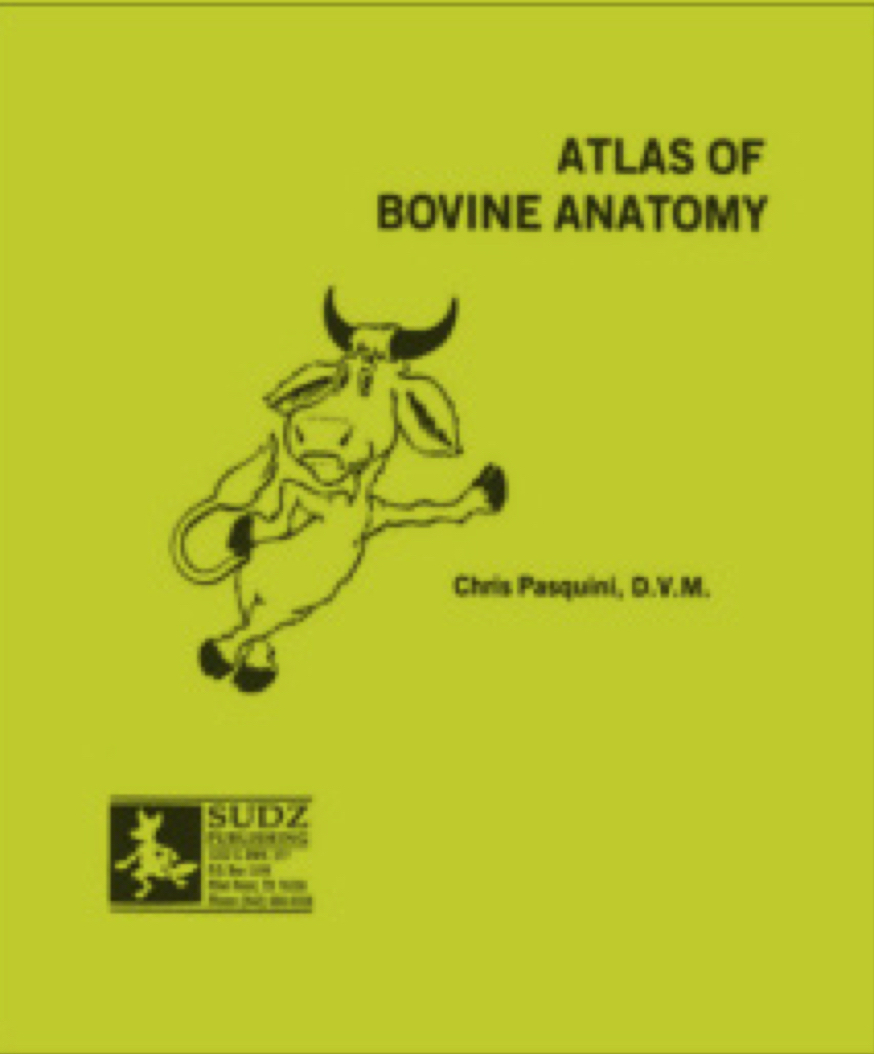 atlasofbovineanatomy