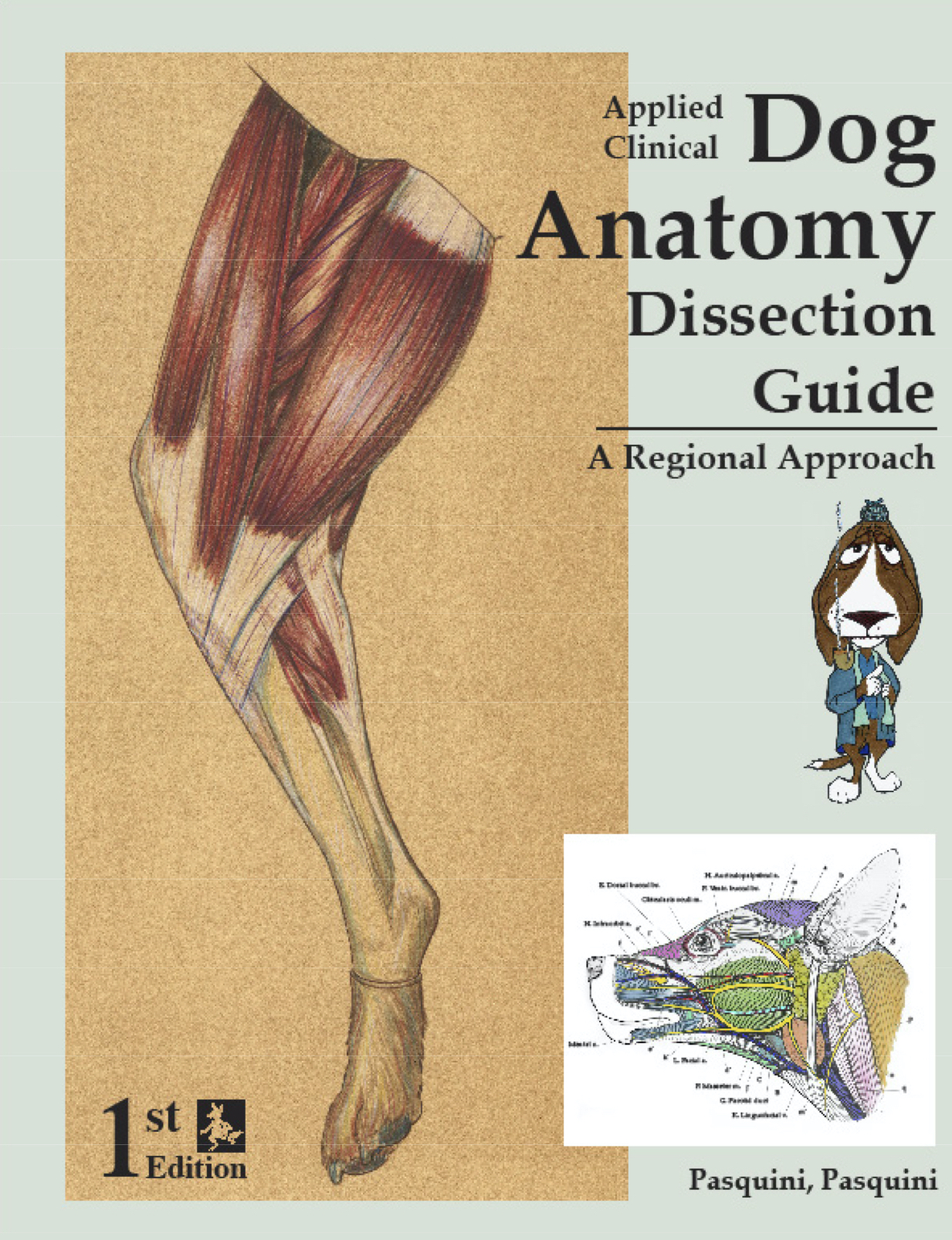 doganatomy