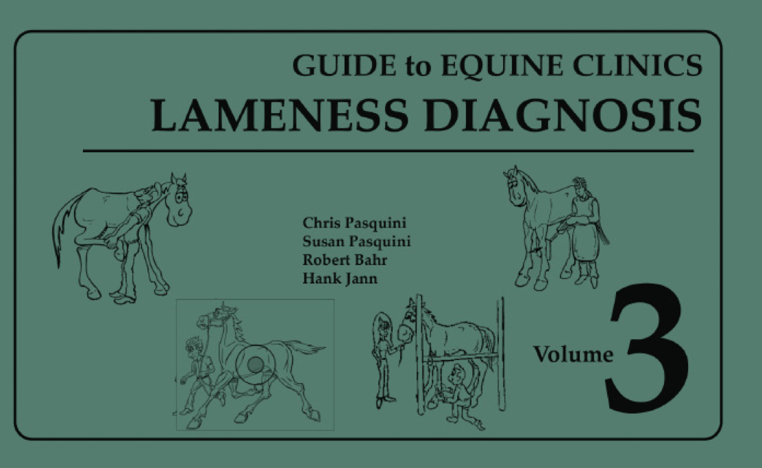 guidetoequinelamenessdiagnosis